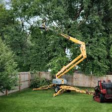 Best Emergency Tree Removal  in Pardeeville, WI