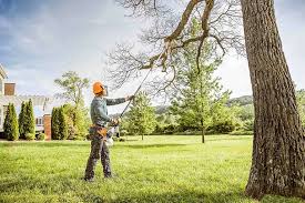 Best Lawn Pest Prevention  in Pardeeville, WI