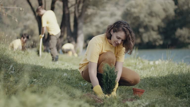 Best Tree Maintenance Programs  in Pardeeville, WI