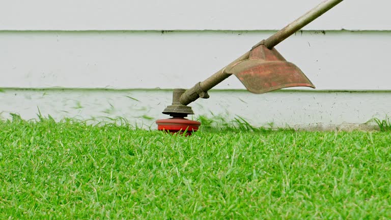 Best Tree Mulching  in Pardeeville, WI