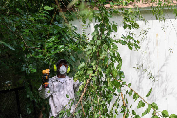 Best Tree Health Inspection  in Pardeeville, WI